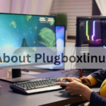 About Plugboxlinux