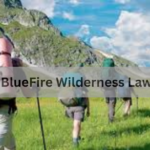 The BlueFire Wilderness Lawsuit